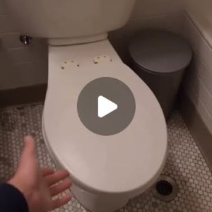 Im WC versteckt