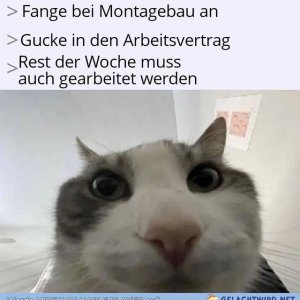 Des kanns doch net sein