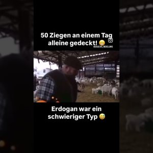 Türkische Probleme