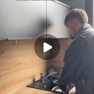 lachsbeschreibung