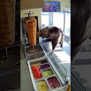 Dönerbär