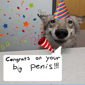 congrats-on-your-big-penis.jpg