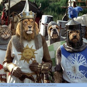 Tiere der Kokosnuss
