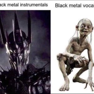 Black Meddl ist wie