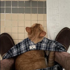Neulich auf der Toilettentournee