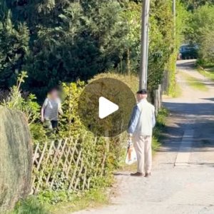 Aufgrund panics Wunsch noch ein rentnervid