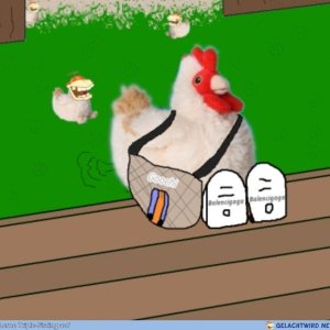 Haidrhuhn