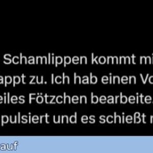 Timmy ist auch dabei