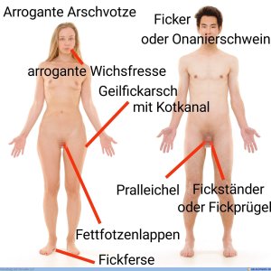Damit ihr Bescheid wisst