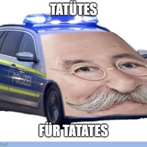 lel das audo