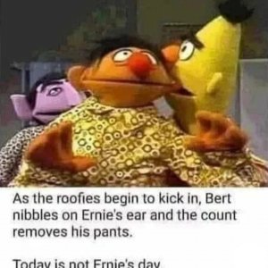 Bert pls!