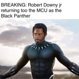 Der neue schwarze Panther ist bald draussen