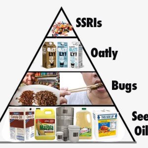 Food pyramid.jpg