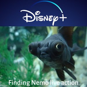 Captain Nemo und die Nautilus