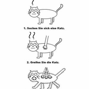 How to rubbel die Katz