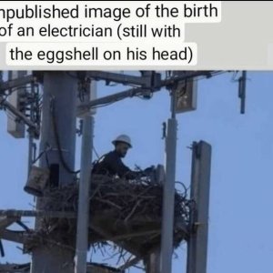 XD