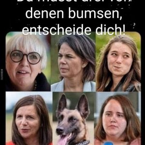 Entscheide dich!