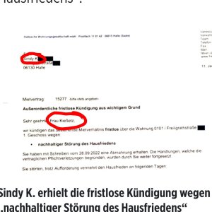 Bild Online mal wieder