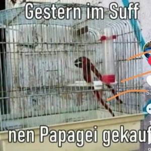 Man kennt's