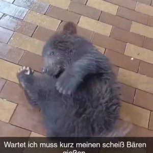 Den Beren gießen
