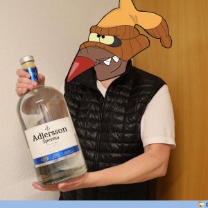 Muskelbóbr der Perversling