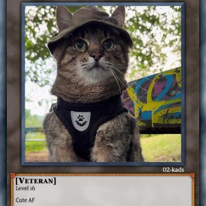 Stepan [GWN-Sammelkartenspiel]