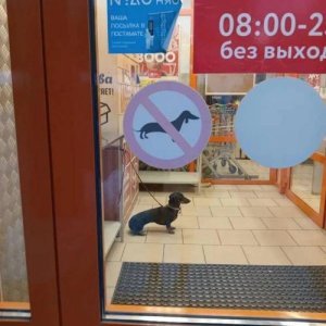 Fick das System
