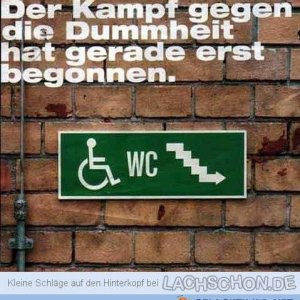 Lachschon Archiv