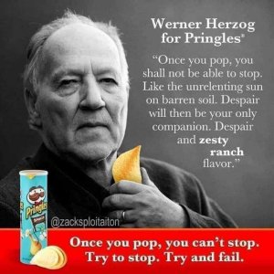 Wer Herzog sagt Ja
