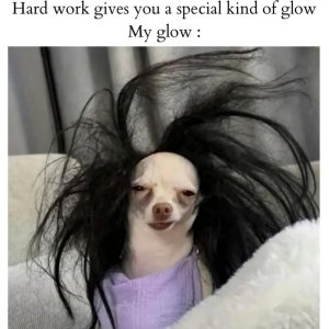Flachwixer