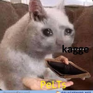 kaggepeLTs.jpg