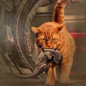Was mit Xenomorphen wirklich passieren würde