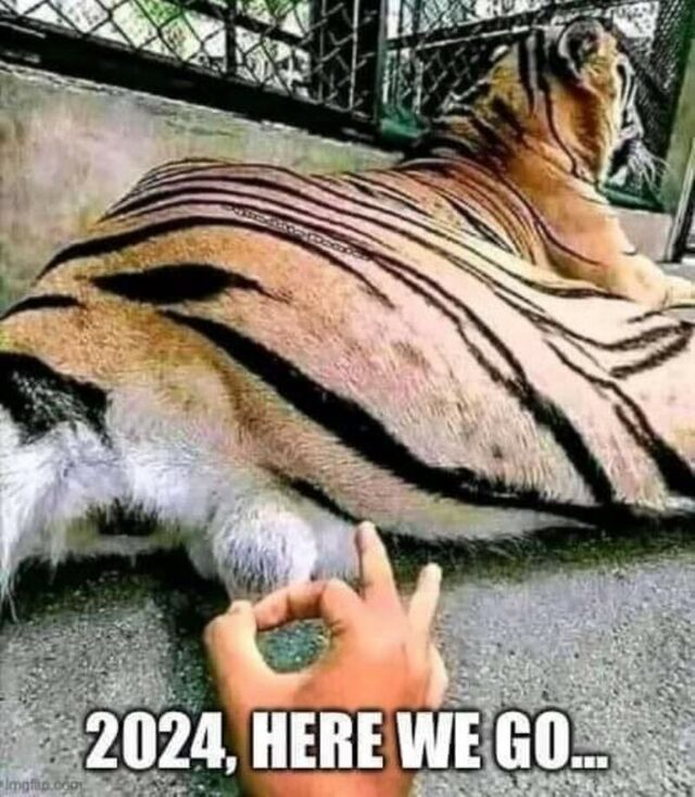 2024 wird gut