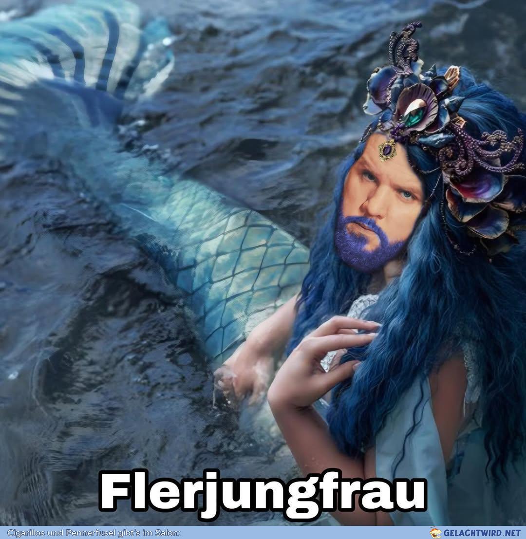 6264.jpg