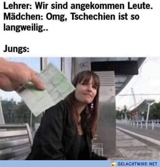 80 zu teuer, 50 ok