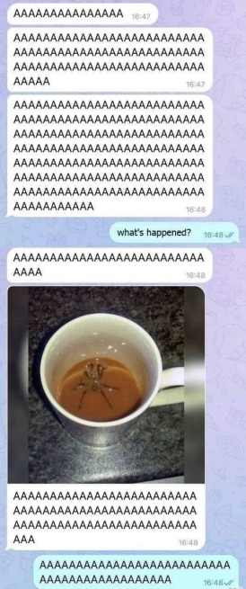 AAAAAAAAAAAAAAAAAAAAAAAAAAAAAAAA