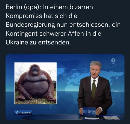 Affe mit Waffe