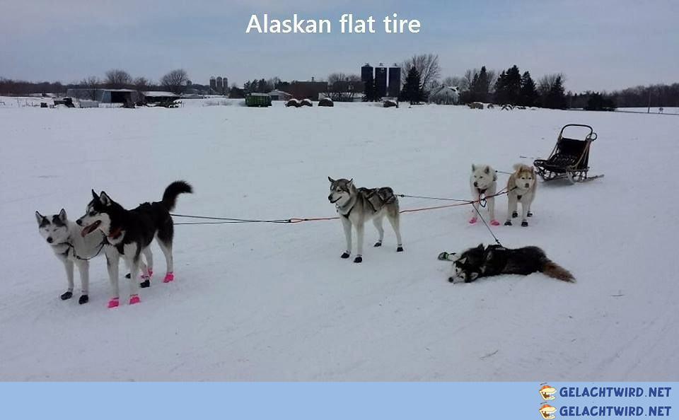 Alaskan flat tire