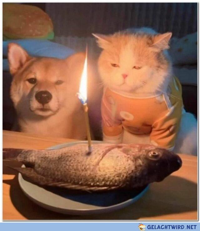 Alles Gute