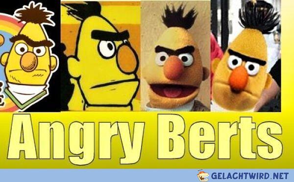 Angry Berts