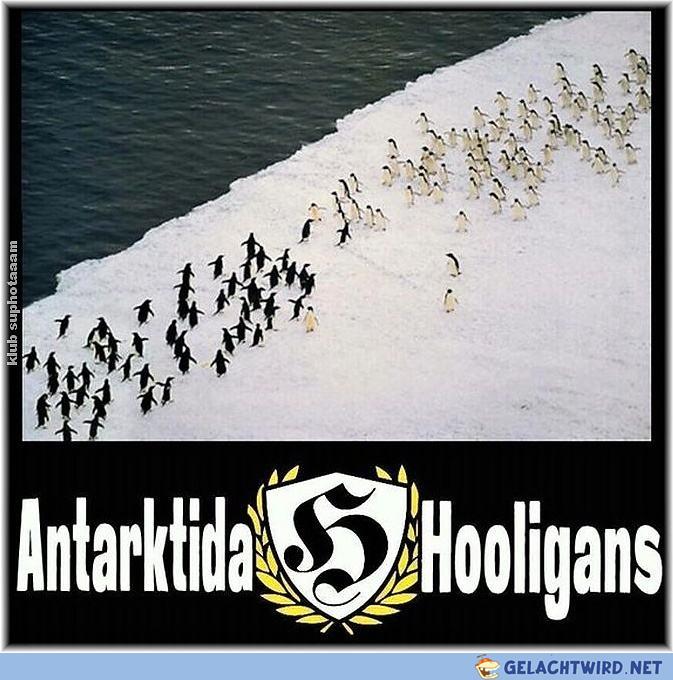 Antarktida Hooligans