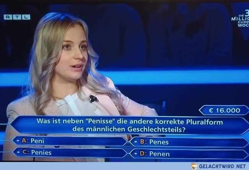 Antwort E: Penic