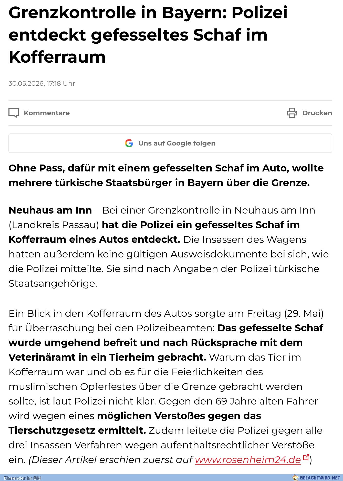 Armes Schaf