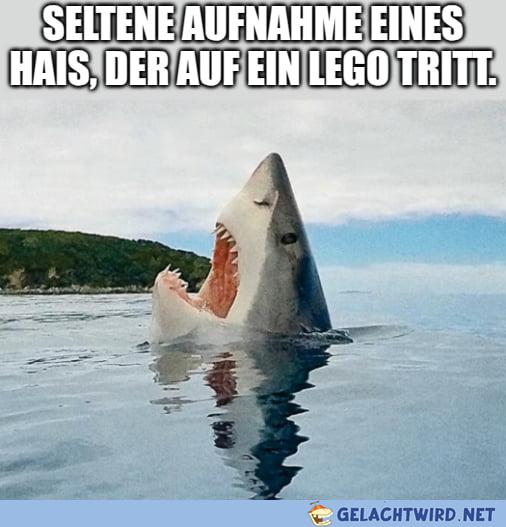 AUER!!!111einself