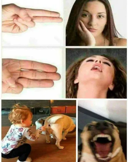 Auer