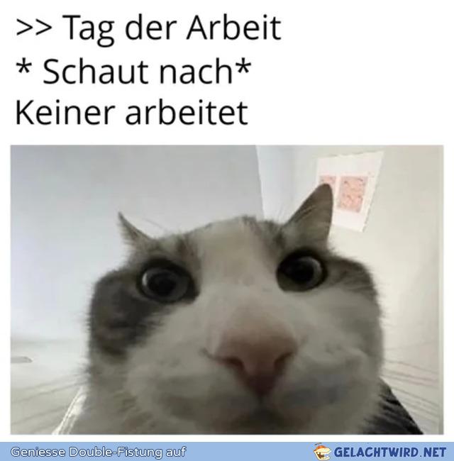 Aus aktuellem Anlass