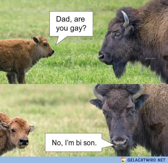 Ba dum tiss!