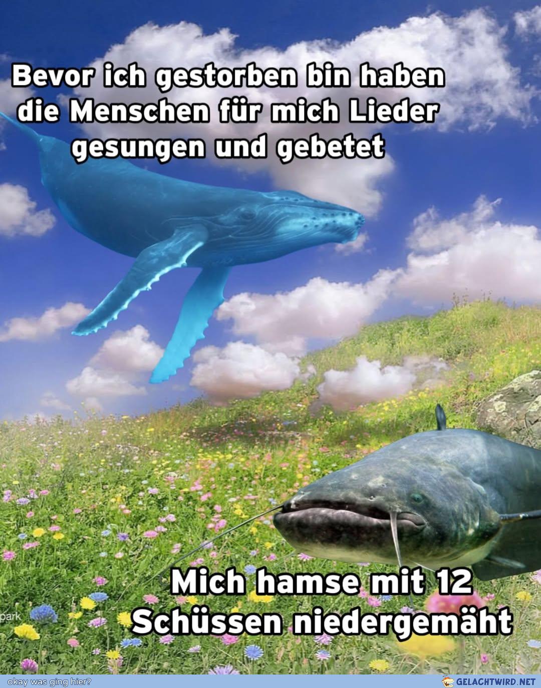 Bayern ist anders.