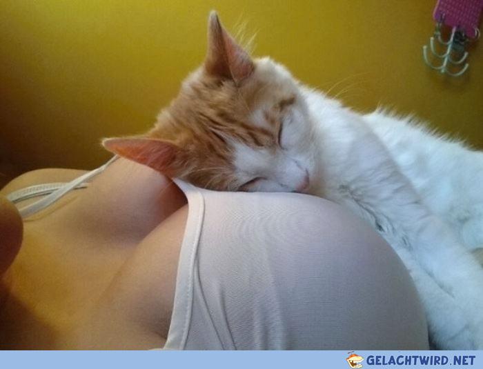 Best place to rest
