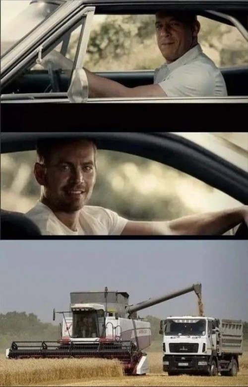 Beste Freunde